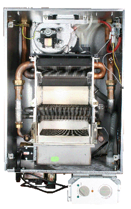 Glow worm engery1a.gif